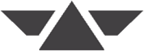 special-forces Icon